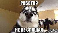 работо? не не слашал