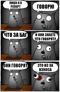 Пишу я в репорт Говорю Что за баг И они знаете что говорят? Они говорят ЭТО ИЗ ЗА ИЗНОСА