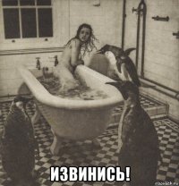  извинись!