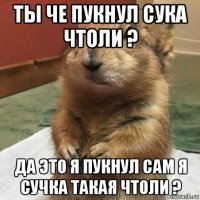 ты че пукнул сука чтоли ? да это я пукнул сам я сучка такая чтоли ?