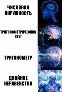 Числовая окружность Тригонометрический круг Тригонометр Двойное неравенство