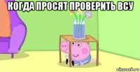 когда просят проверить всу 