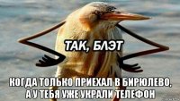  когда только приехал в бирюлево, а у тебя уже украли телефон