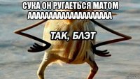 сука он ругаеться матом аааааааааааааааааааа 