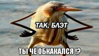  ты чё обкакался !?