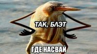  где насвай