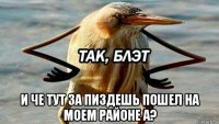  и че тут за пиздешь пошел на моем районе а?