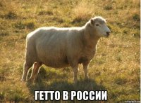  гетто в россии