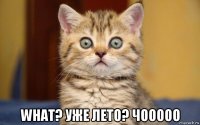  what? уже лето? чооооо