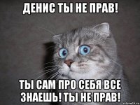 денис ты не прав! ты сам про себя все знаешь! ты не прав!