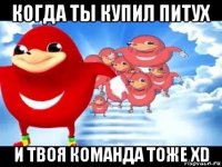 когда ты купил питух и твоя команда тоже xd