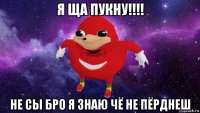 я ща пукну!!!! не сы бро я знаю чё не пёрднеш