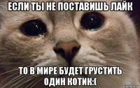 если ты не поставишь лайк то в мире будет грустить один котик:(