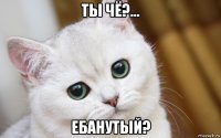 ты чё?... ебанутый?