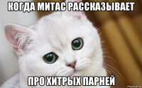 когда митас рассказывает про хитрых парней