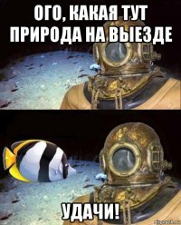 ого, какая тут природа на выезде удачи!