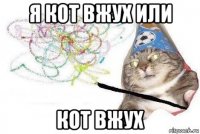 я кот вжух или кот вжух