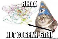 вжух кот собран, бля!