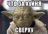 что за хуйня сверху