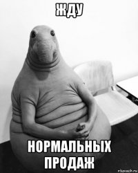 жду нормальных продаж