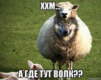 ххм... а где тут волк??