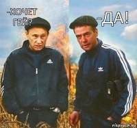 -ДА! -ХОЧЕТ ГЕЙ?