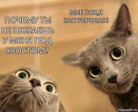 почему ты не нюхаешь у меня под хвостом? мне пох,я кастрирован!