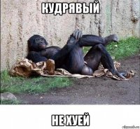 кудрявый не хуей