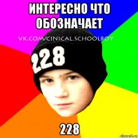 интересно что обозначает 228