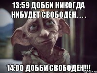 13:59 добби никогда нибудет свободен. . . . 14:00 добби свободен!!!