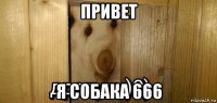 привет я собака 666