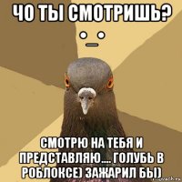 чо ты смотришь? •_• смотрю на тебя и представляю.... голубь в роблоксе) зажарил бы)