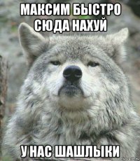 максим быстро сюда нахуй у нас шашлыки