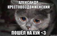 александр крестовоздвиженский пошёл на хуй <3