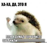  пля я думал террорист! забанили!!!!!!!!!!!!!!!!!!!!!!!!!!!!!