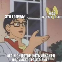 Это голубь! Надо загрузить в вк! Ага. И он потом кота увидит и подумает что это змея.