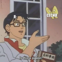 я: сесия 