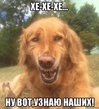 хе-хе-хе... ну вот,узнаю наших!