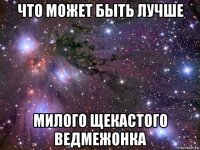 что может быть лучше милого щекастого ведмежонка