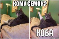 кому семок? 