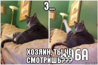 э... хозяин, ты чё смотришь???