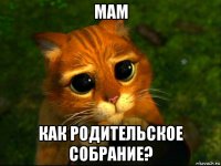 мам как родительское собрание?