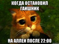 когда остановил гаишник на аллеи после 22:00