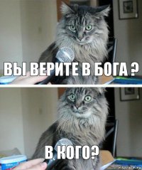 вы верите в бога ? в кого?