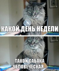 какой день недели такой сабака человеческая...