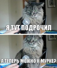 я тут подрочил а теперь можно к мурке?