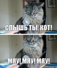 Слышь ты, кот! Мяу! Мяу! Мяу!