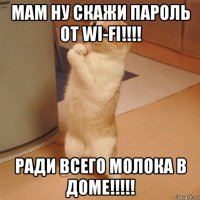 мам ну скажи пароль от wi-fi!!!! ради всего молока в доме!!!!!