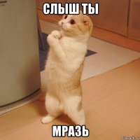 слыш ты мразь