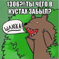 1306?! ты чего в кустах забыл? 